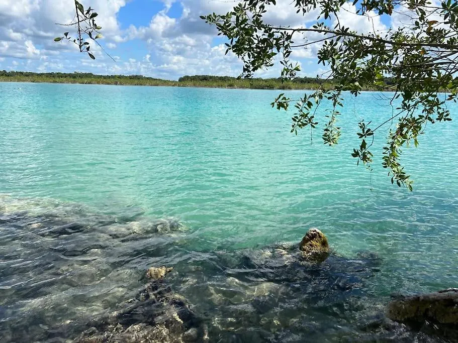 Luxury Apartment Right Next To The Lagoon Bacalar