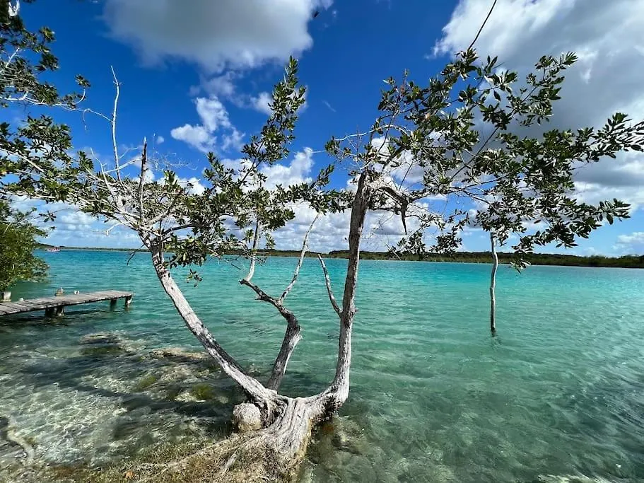Luxury Apartment Right Next To The Lagoon Bacalar