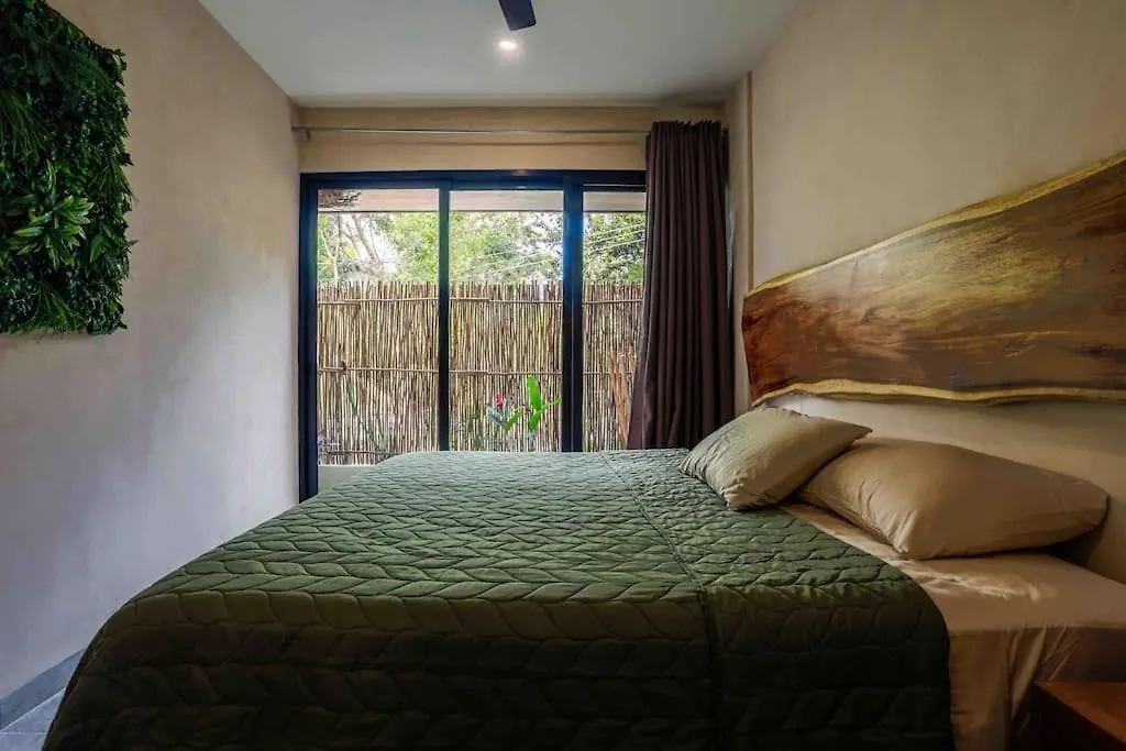 Luxury Apartment Right Next To The Lagoon Bacalar Mexico